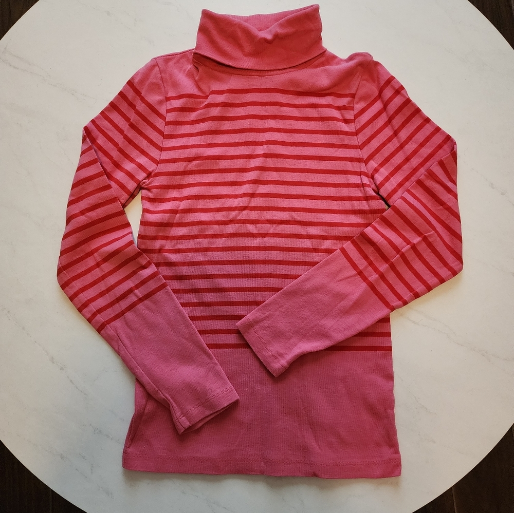 J Crew Perfect Fit Turtleneck